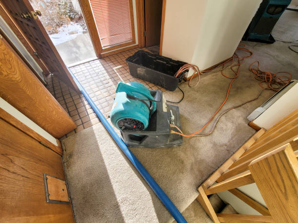 Best Flood restoration services  in Gurnee, IL