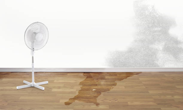Best Water damage cleanup near me  in Gurnee, IL