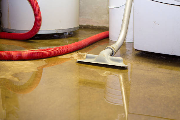 Best Water damage restoration mold remediation  in Gurnee, IL